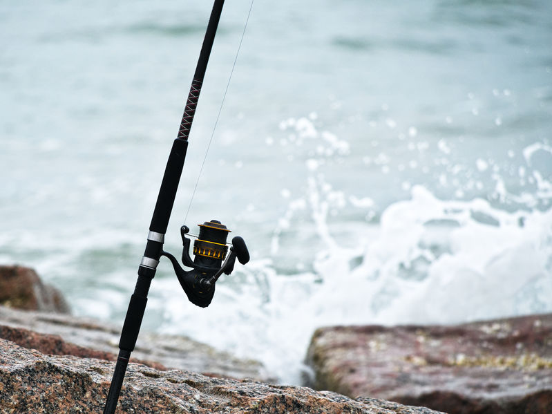 5 Best Inshore Spinning Reels: Guide and Review of Top Picks