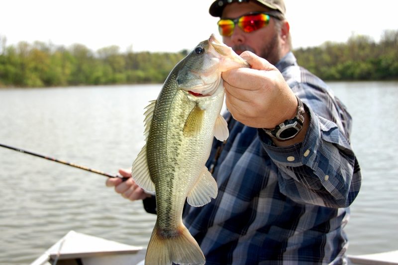 10 Must-Read Bass Fishing Books for Anglers of Every Level